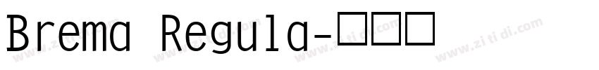 Brema Regula字体转换